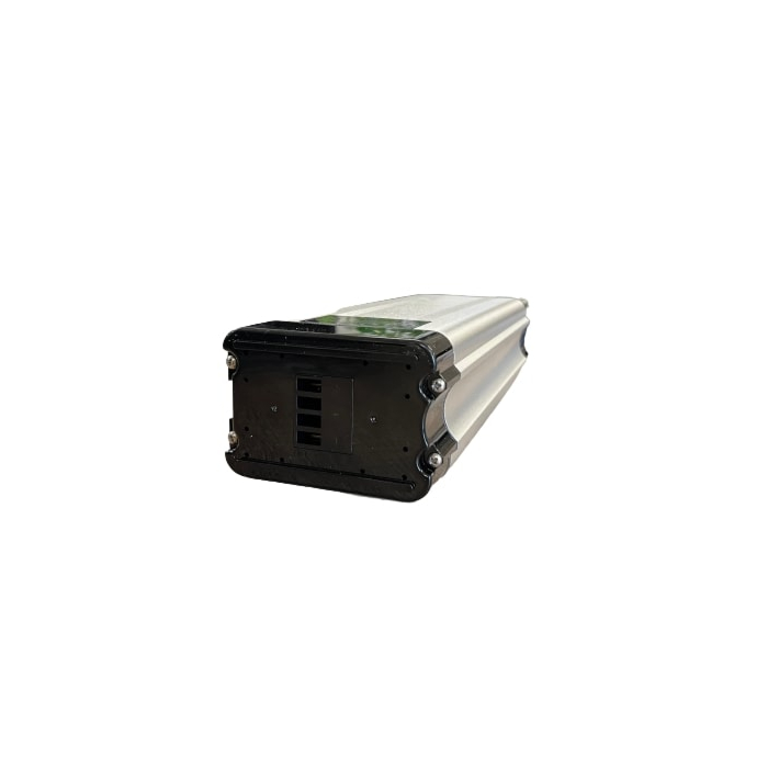 Phylion Silverfish Compatible Battery 48V